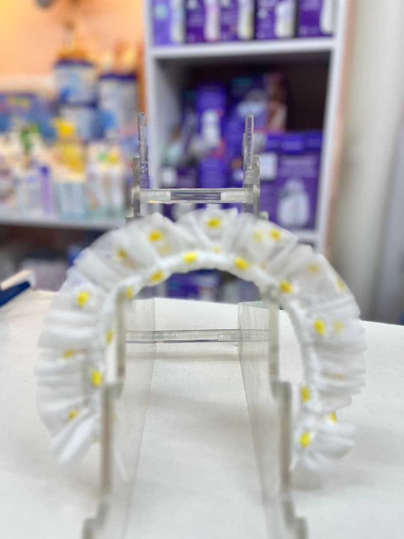 قوص ابيض عباد الشمس